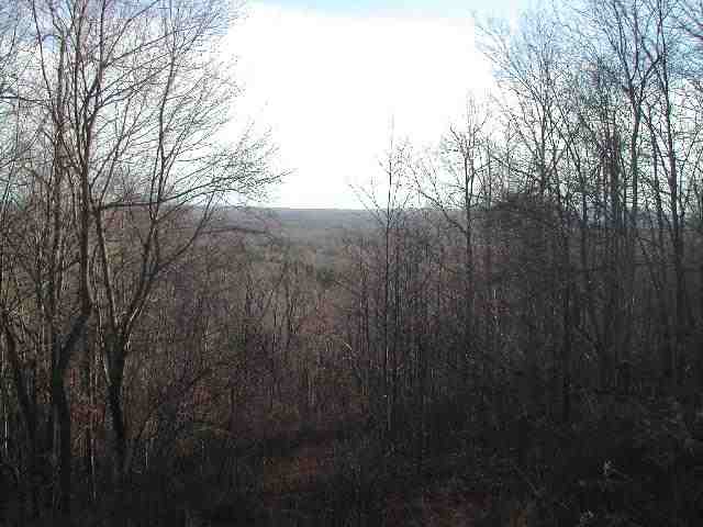 0 Bramlett Road, Unit PACKS MOUNTAIN RIDGE ROAD Taylors, SC 29687 - Photo 6 of 7 Gallery Image 6
