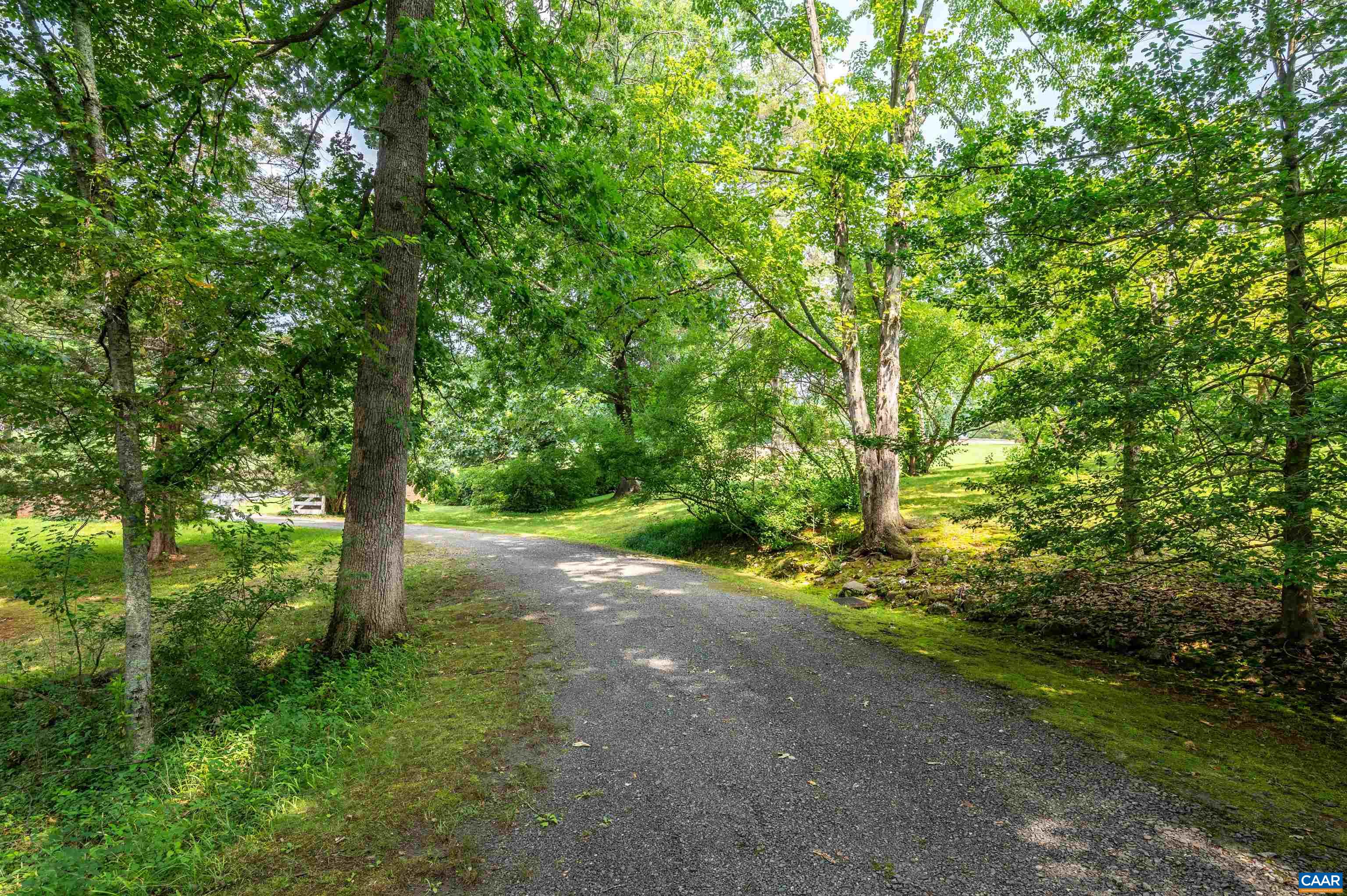 1715 Lake Road Charlottesville, VA 22901 - Photo 8 of 15 a view of a yard with a tree