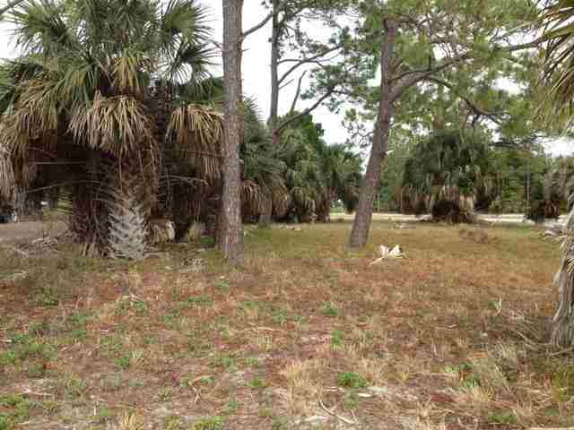 1613 Shell Point Road Shell Point, FL 32327 - Photo 5 of 14 Gallery Image 5