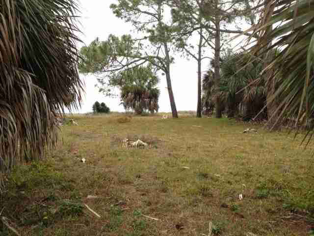 1613 Shell Point Road Shell Point, FL 32327 - Photo 10 of 14 Gallery Image 10