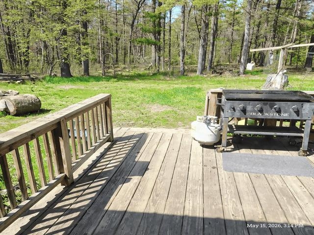 6230 Shellenbarger Road Hale, MI 48739 - Photo 15 of 46