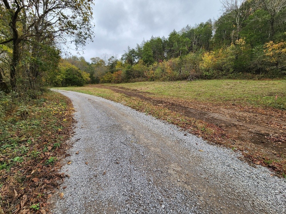 0 Sweetwater Road Liberty, TN 37095 - Photo 1 of 16 a view of a field with trees in background