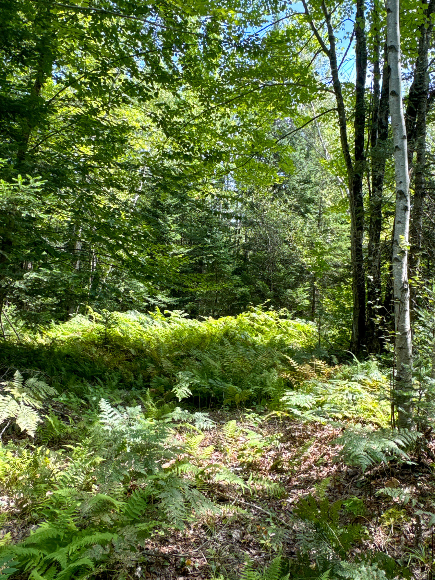 M9-l20-1 Valley Road Etna, ME 04434 - Photo 30 of 33