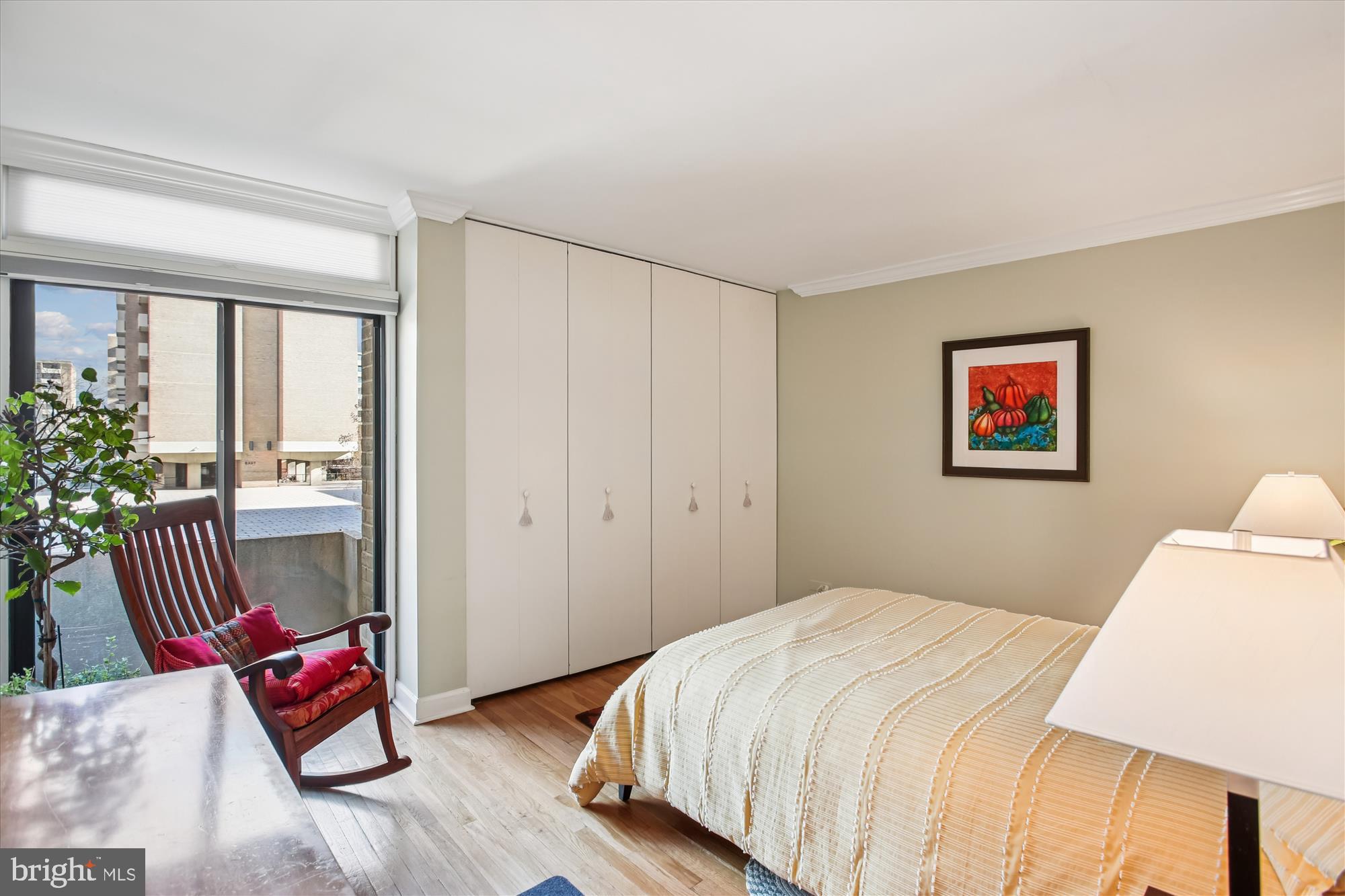 431 N Street Southwest Washington, DC 20024 - Photo 37 of 101 Serene bedroom with natural light and style.