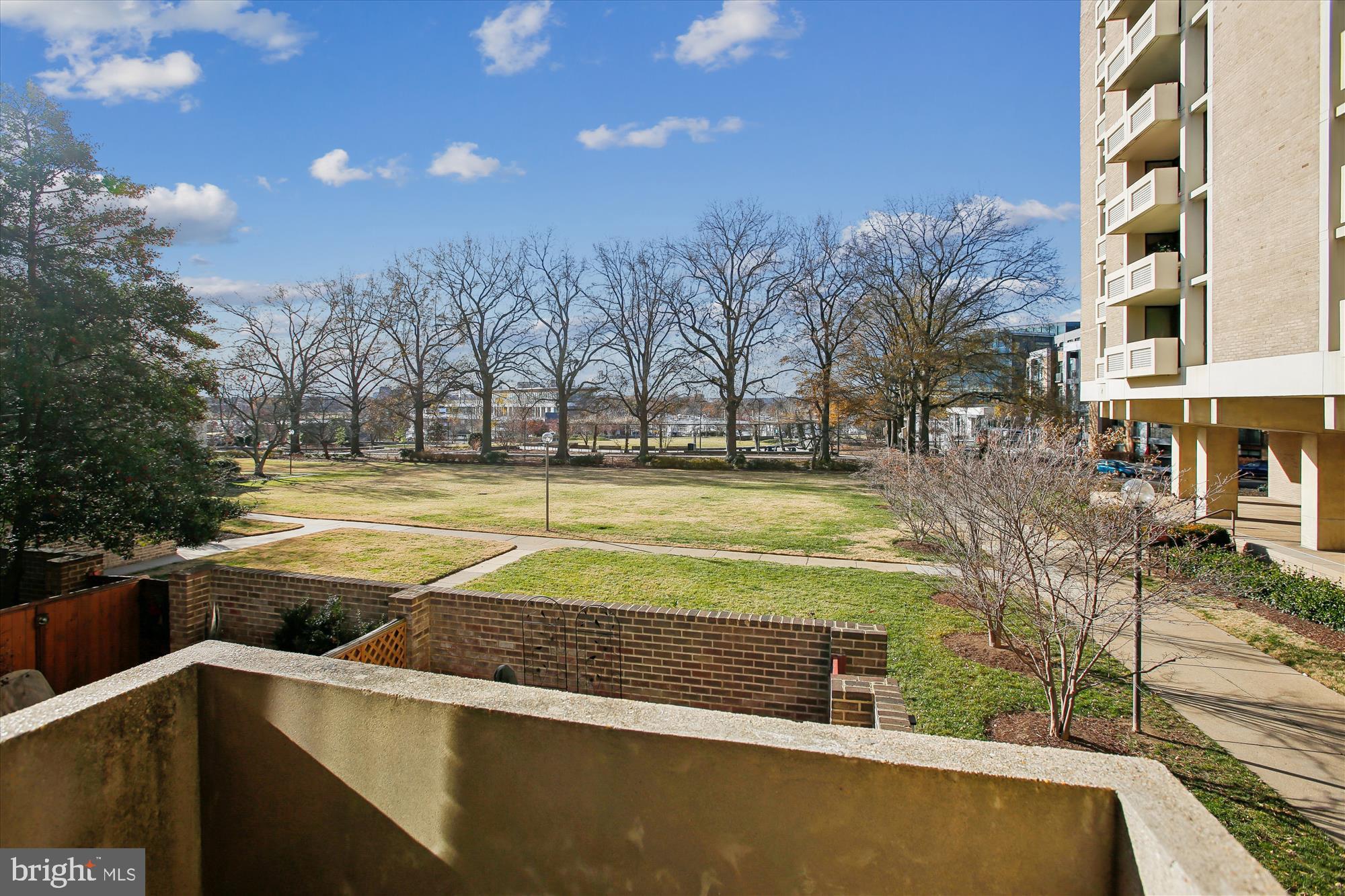 431 N Street Southwest Washington, DC 20024 - Photo 58 of 101 Serene park view with seasonal trees.