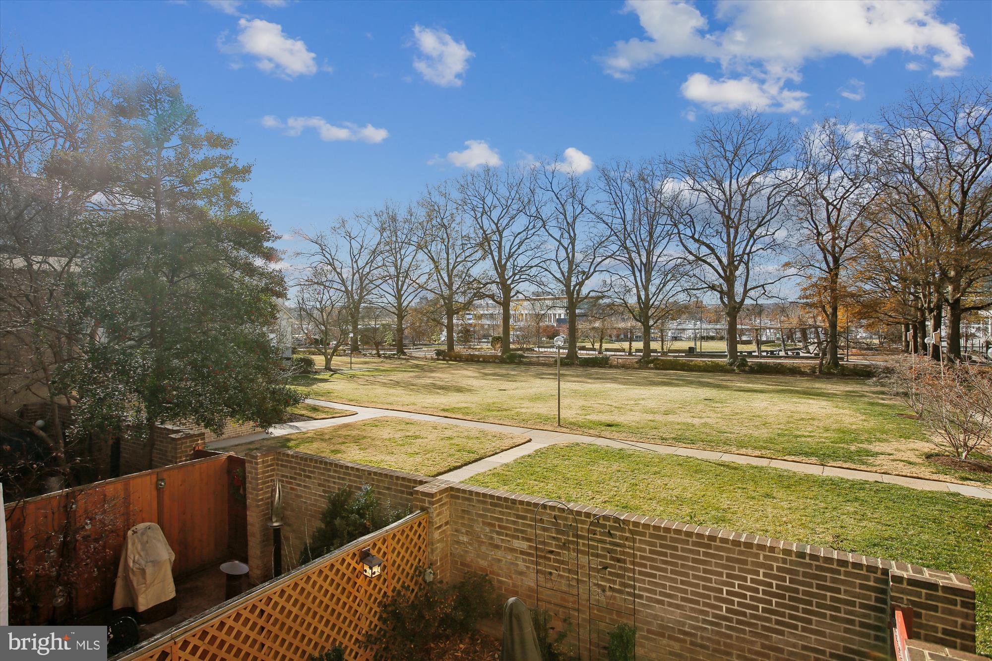431 N Street Southwest Washington, DC 20024 - Photo 63 of 101 Serene park view with seasonal trees.