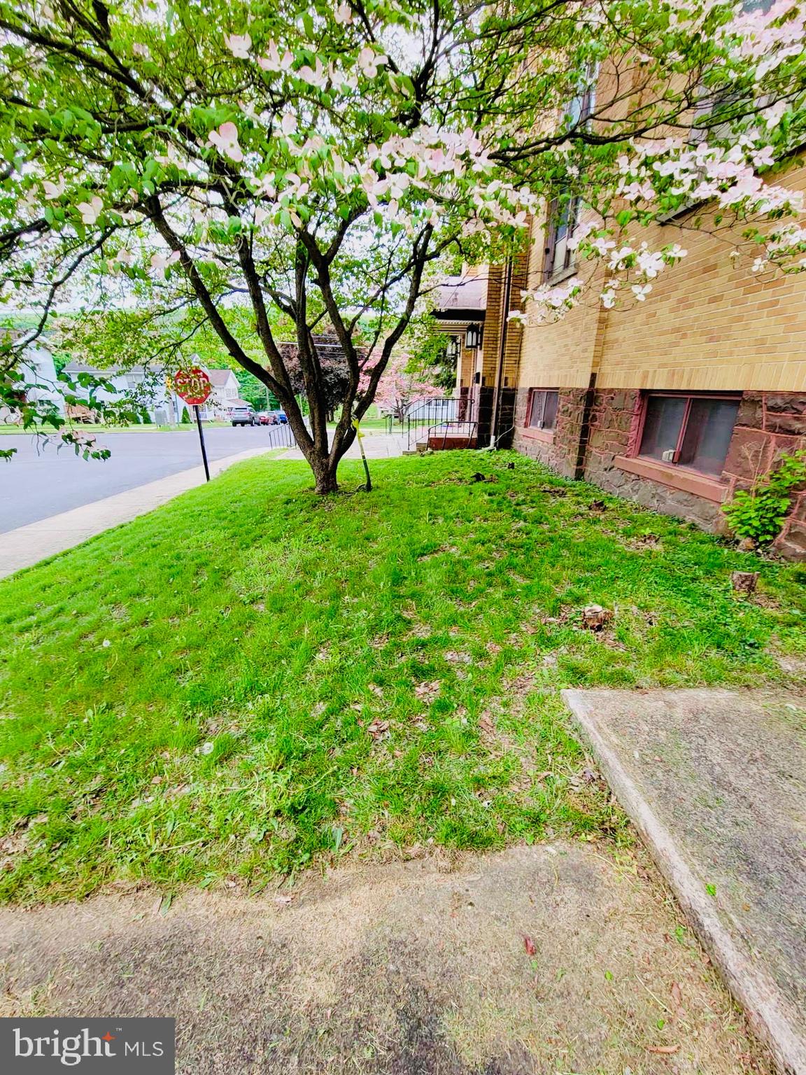 300 Vandermark Road Nanticoke, PA 18634 - Photo 4 of 22 a view of a yard with plants and a large tree