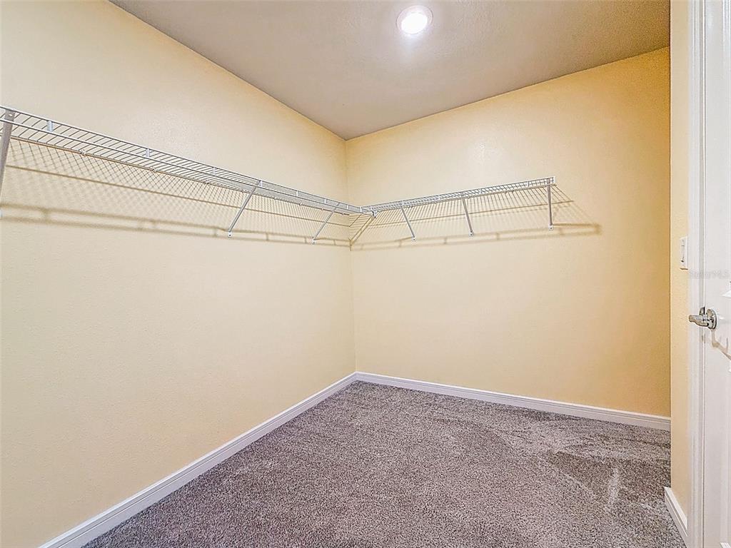 9324 Rally Spring Loop Wesley Chapel, FL 33545 - Photo 33 of 57 a view of a room with racks on the wall