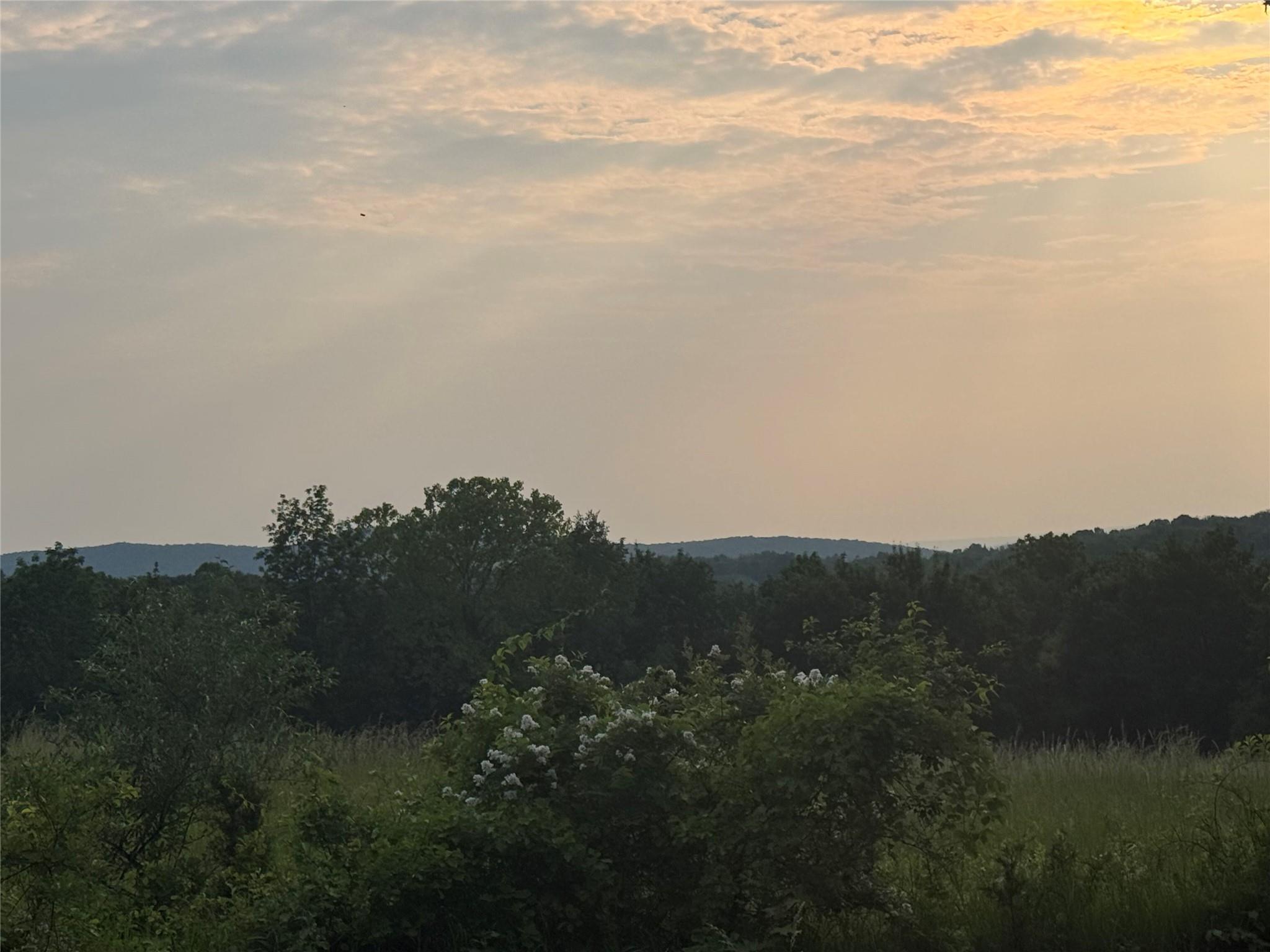 View of mountain backdrop with a heavily wooded area. Across street from this property. The potential view!