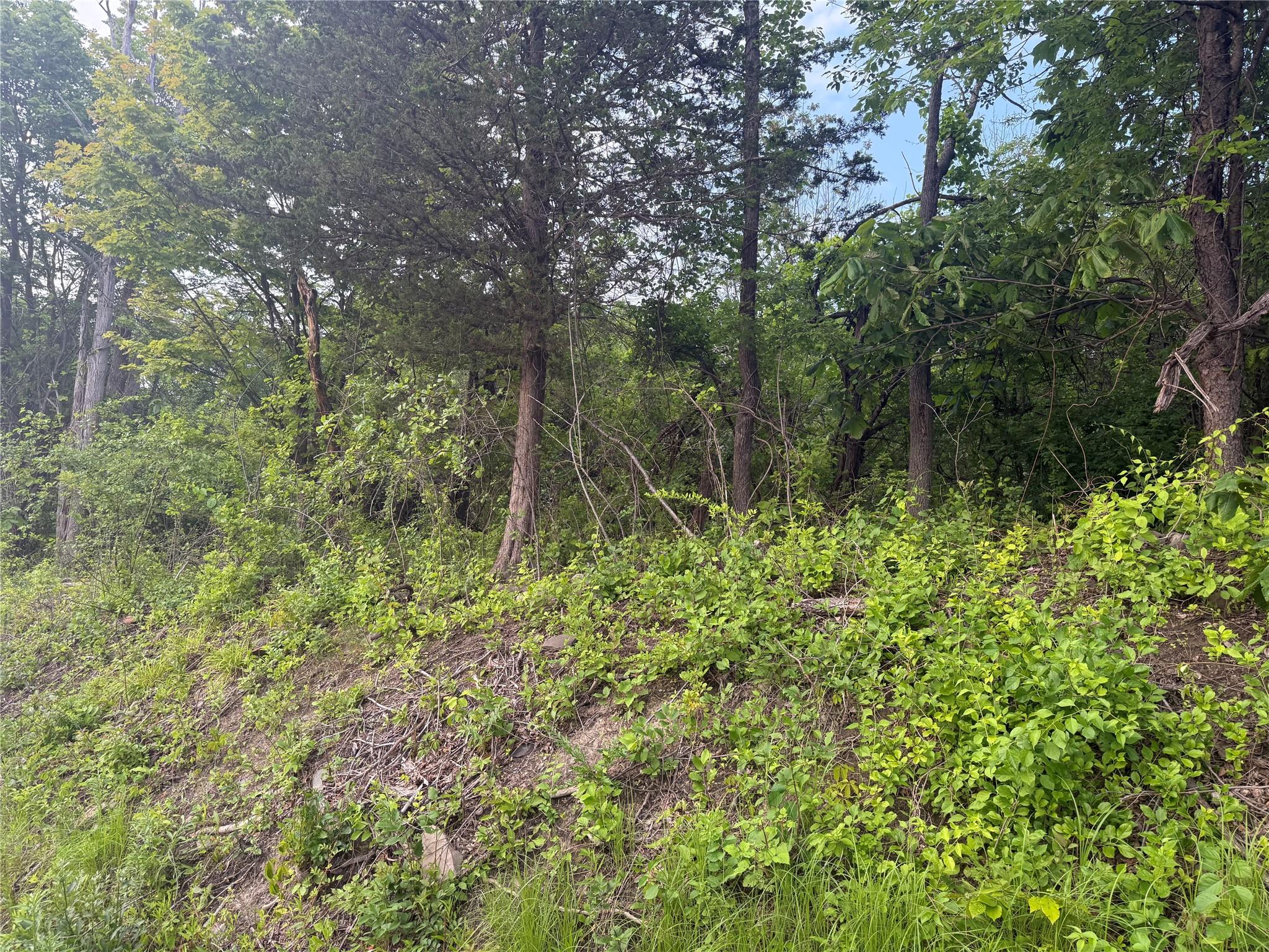 Old Ridge Road Warwick, NY 10990 - Photo 4 of 7 View Property from the road.
