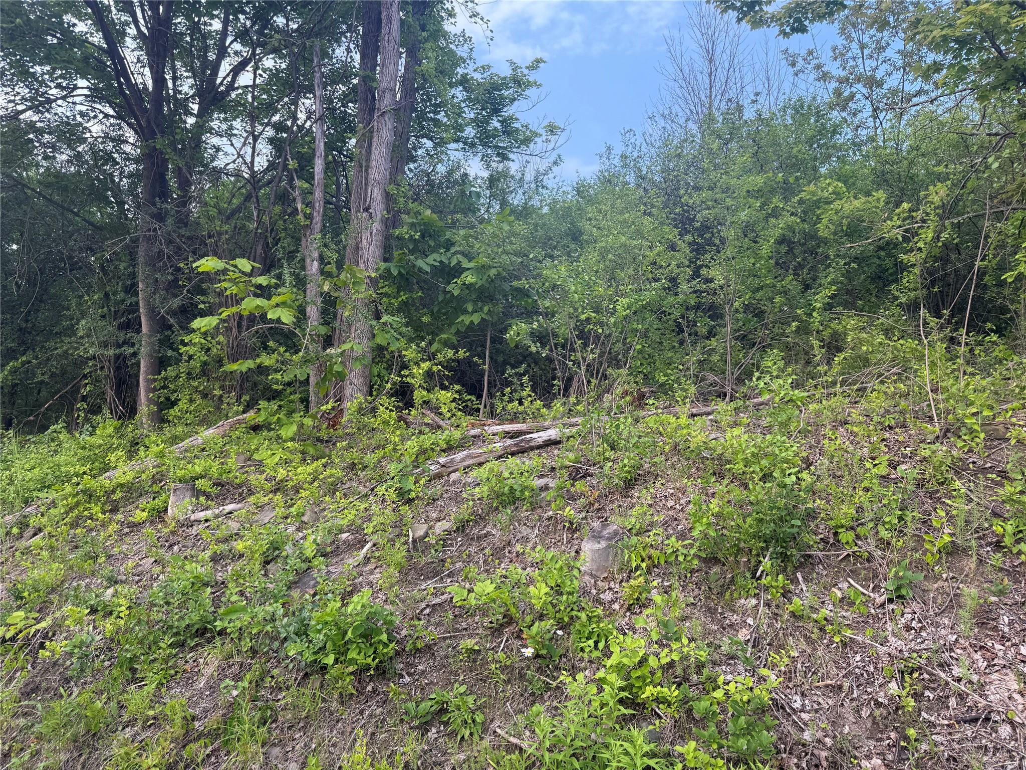 Old Ridge Road Warwick, NY 10990 - Photo 5 of 7 View property from road.