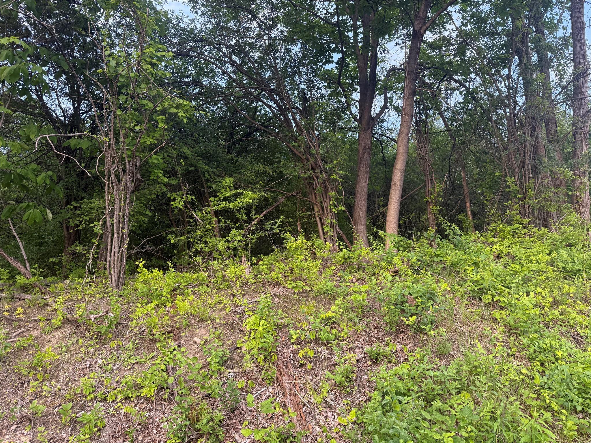 Old Ridge Road Warwick, NY 10990 - Photo 6 of 7 View of woods