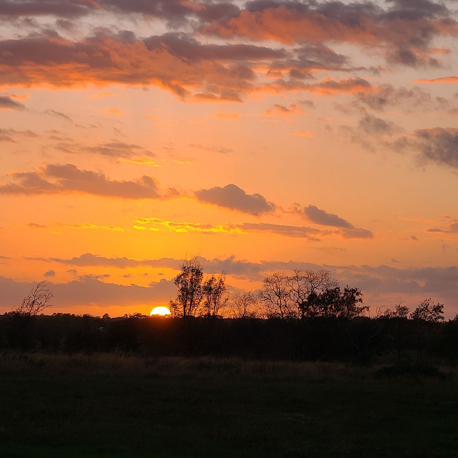 14029 Cochran Road Waller, TX 77484 - Photo 11 of 25