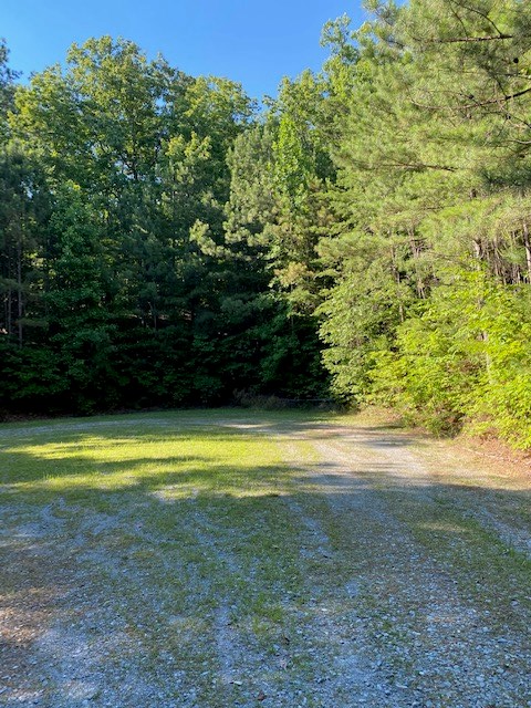 11 Mountain Lake Road Ellijay, GA 30540 - Photo 3 of 9 Gallery Image 3