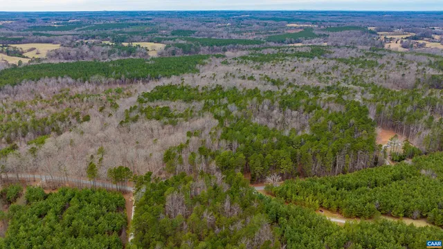 a view of a field with a tree in the background