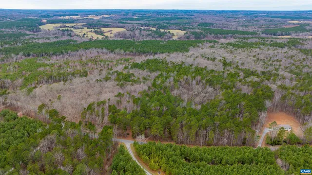 a view of a yard with plants and a bench