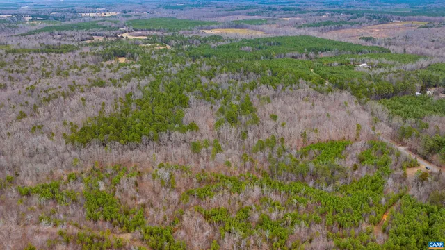 a view of outdoor space with lots of trees