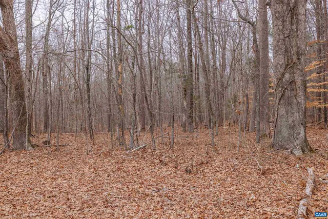$79,900 | Lot 3 Piney Green Road, Crewe, VA 23930