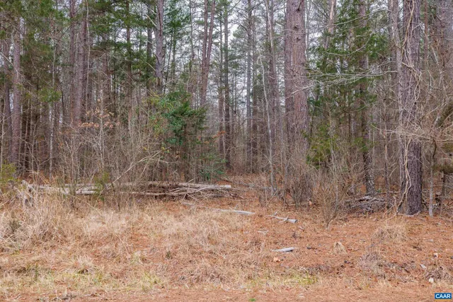 $79,900 | Lot 3 Piney Green Road, Crewe, VA 23930