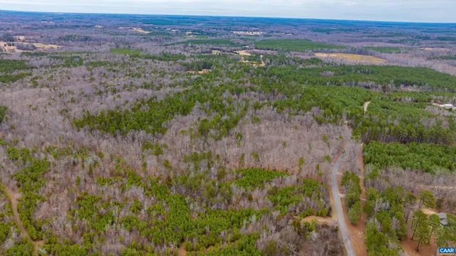 a view of a lush green forest with trees and some houses