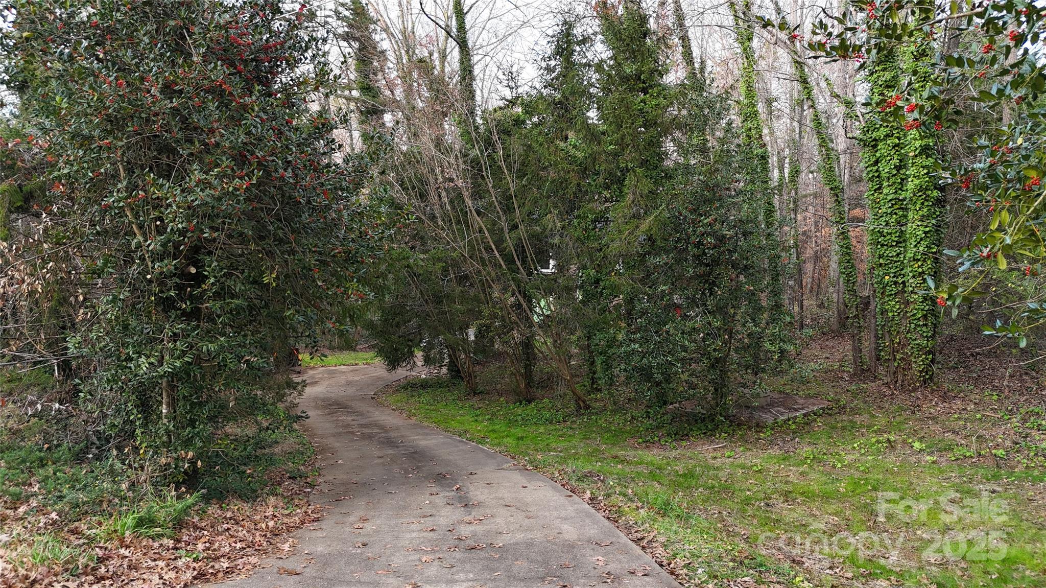 288 Nix Creek Church Road Marion, NC 28752 - Photo 8 of 23