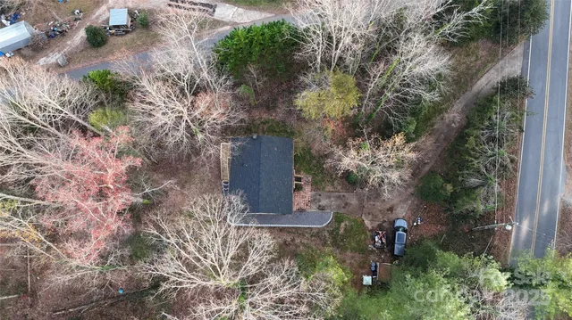 a view of a yard with plants and large trees