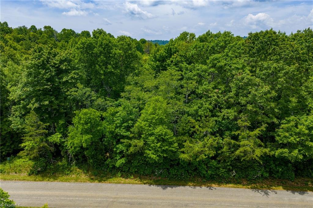 Tbd Air Bellows Gap Road, Unit 5 Sparta, NC 28675 - Photo 1 of 21 Gallery Image 1