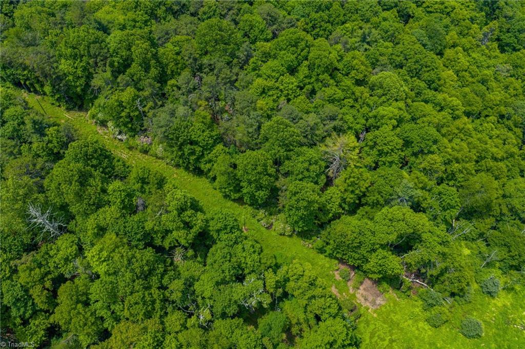 Tbd Air Bellows Gap Road, Unit 5 Sparta, NC 28675 - Photo 11 of 21 Gallery Image 11