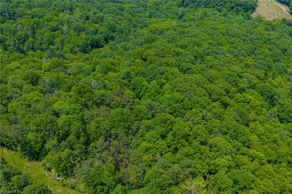 Tbd Air Bellows Gap Road, Unit 5 Sparta, NC 28675 - Photo 12 of 21 Gallery Image 12