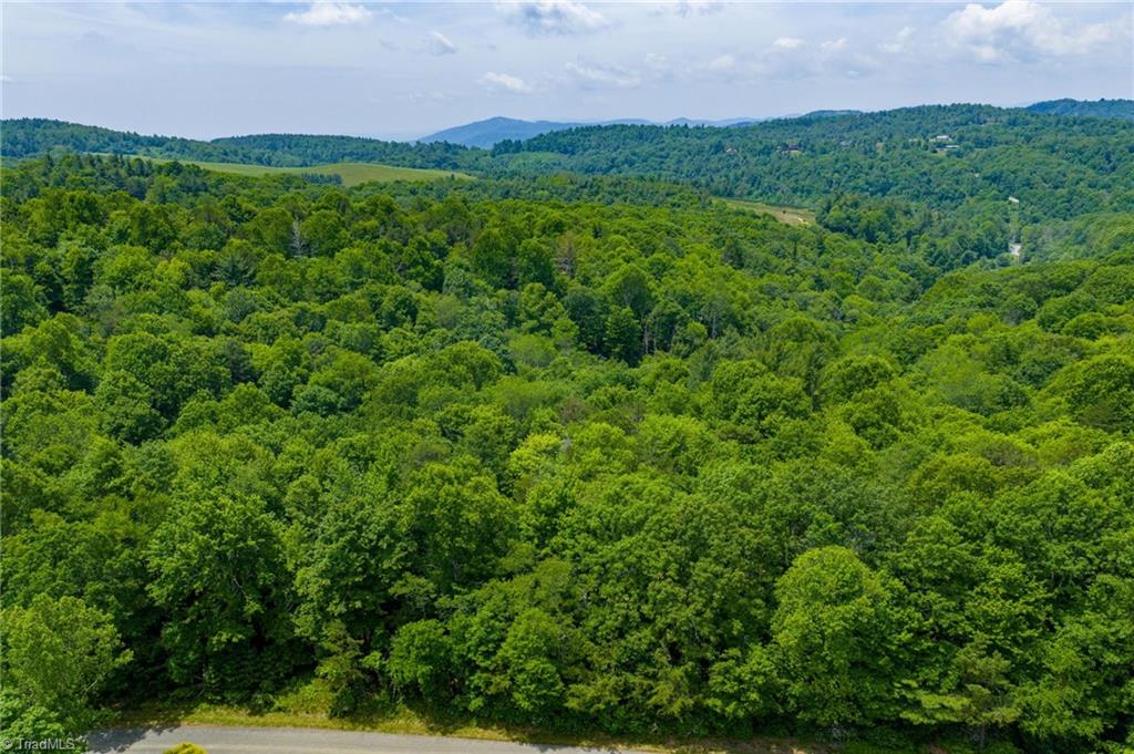 Tbd Air Bellows Gap Road, Unit 5 Sparta, NC 28675 - Photo 19 of 21 Gallery Image 19