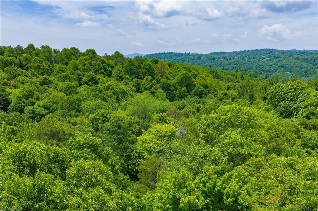 Tbd Air Bellows Gap Road, Unit 5 Sparta, NC 28675 - Photo 20 of 21 Gallery Image 20