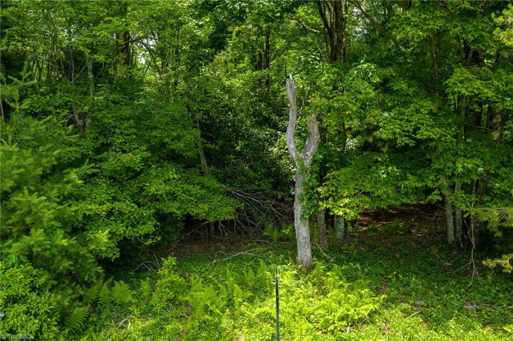 Tbd Air Bellows Gap Road, Unit 5 Sparta, NC 28675 - Photo 21 of 21 Gallery Image 21