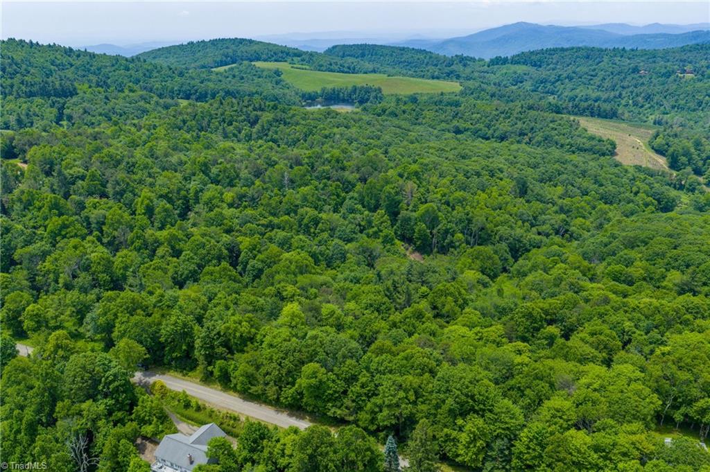 Tbd Air Bellows Gap Road, Unit 5 Sparta, NC 28675 - Photo 6 of 21 Gallery Image 6