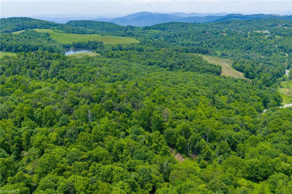Tbd Air Bellows Gap Road, Unit 5 Sparta, NC 28675 - Photo 9 of 21 Gallery Image 9