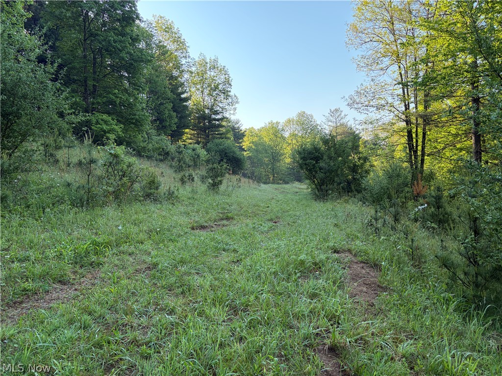 Crum Ridge Road Caldwell, OH 43724 - Photo 40 of 50
