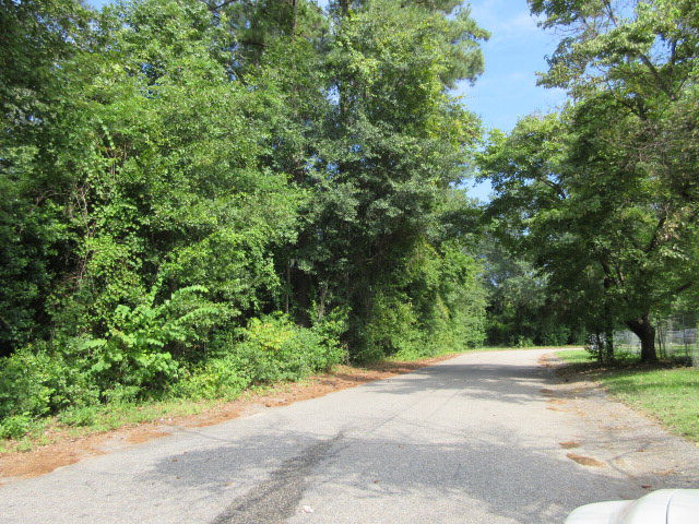 974 Meadowbrook Road Sumter, SC 29153 - Photo 3 of 9 Photo 4