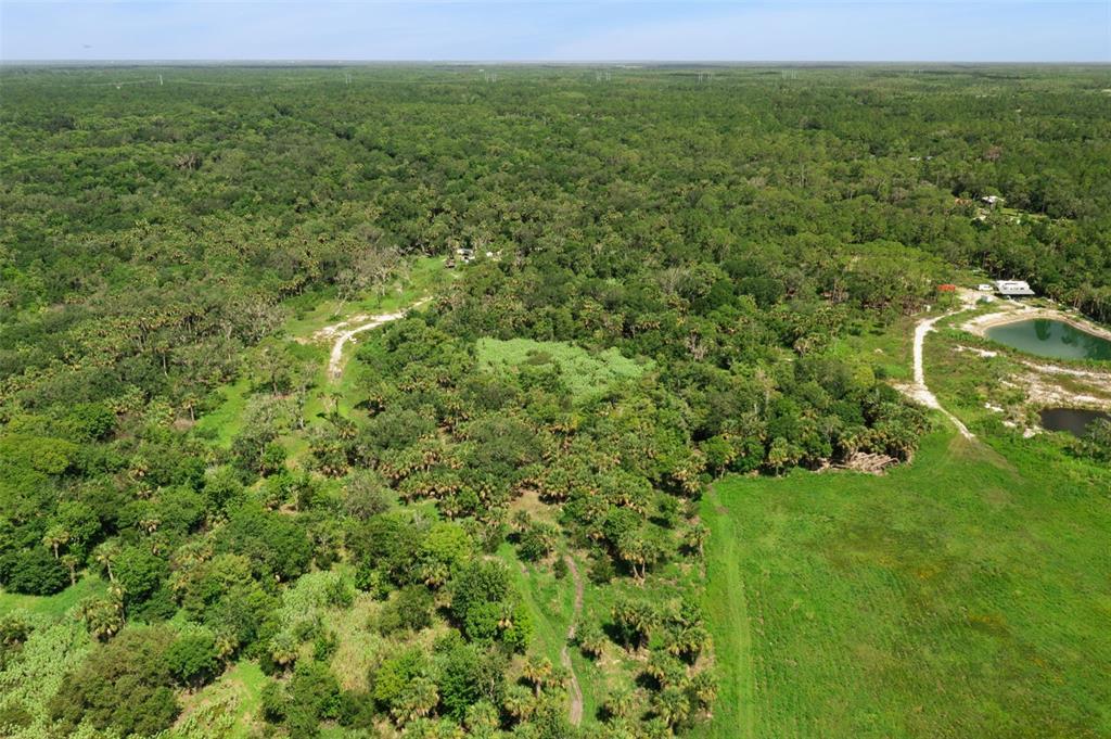 Canvasback Trail Geneva, FL 32732 - Photo 15 of 16