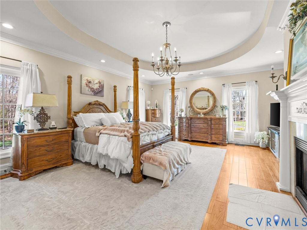 24200 Pear Orchard Road Moseley, VA 23120 - Photo 42 of 66 Large primary bedroom with tray ceiling and firepl
