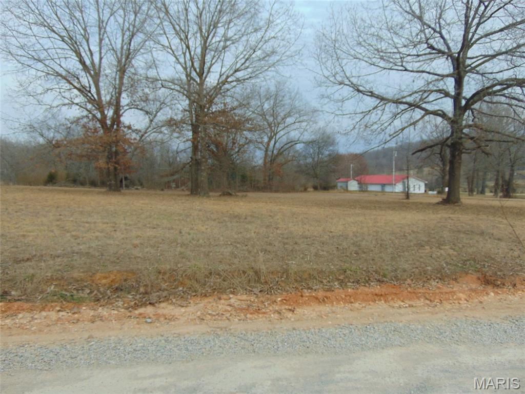 142 Ripley 142w-a Doniphan, MO 63935 - Photo 6 of 8