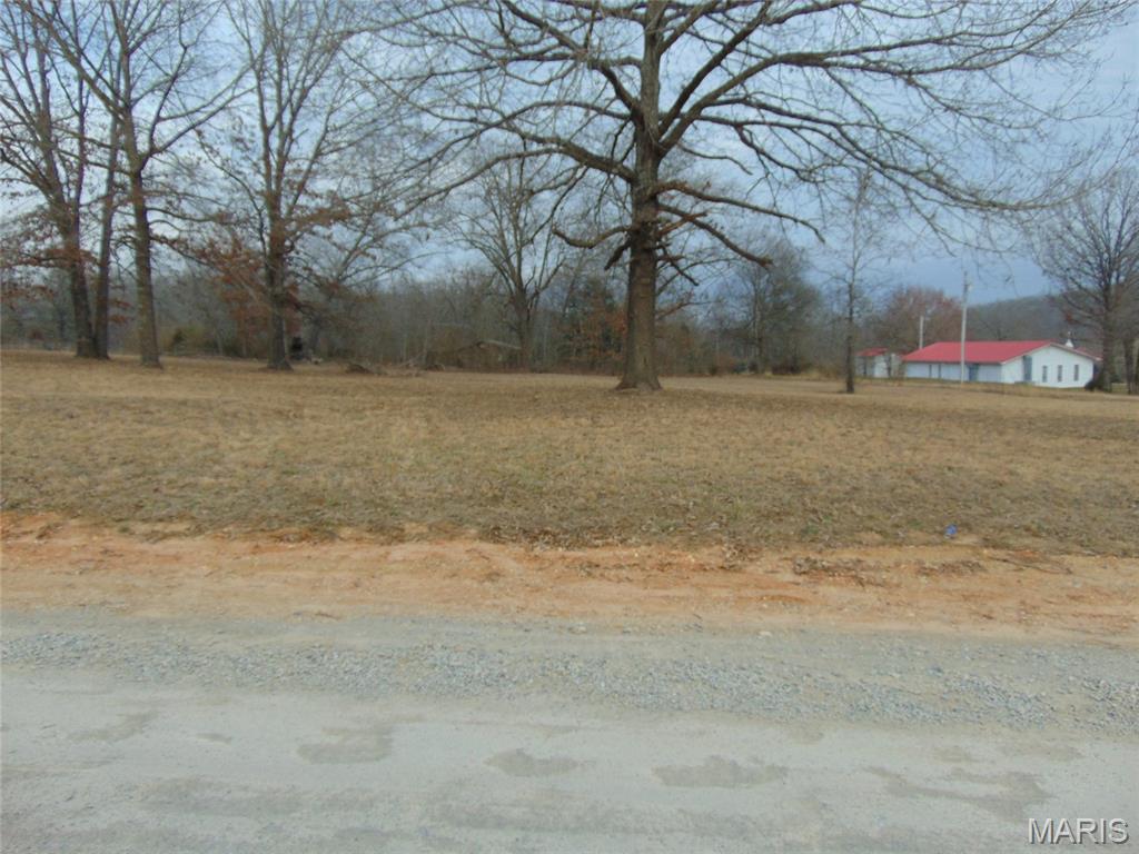 142 Ripley 142w-a Doniphan, MO 63935 - Photo 7 of 8