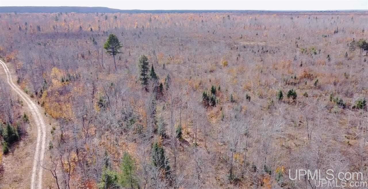 Tbd West Tbd W Co Road Seney, MI 49883 - Photo 8 of 12