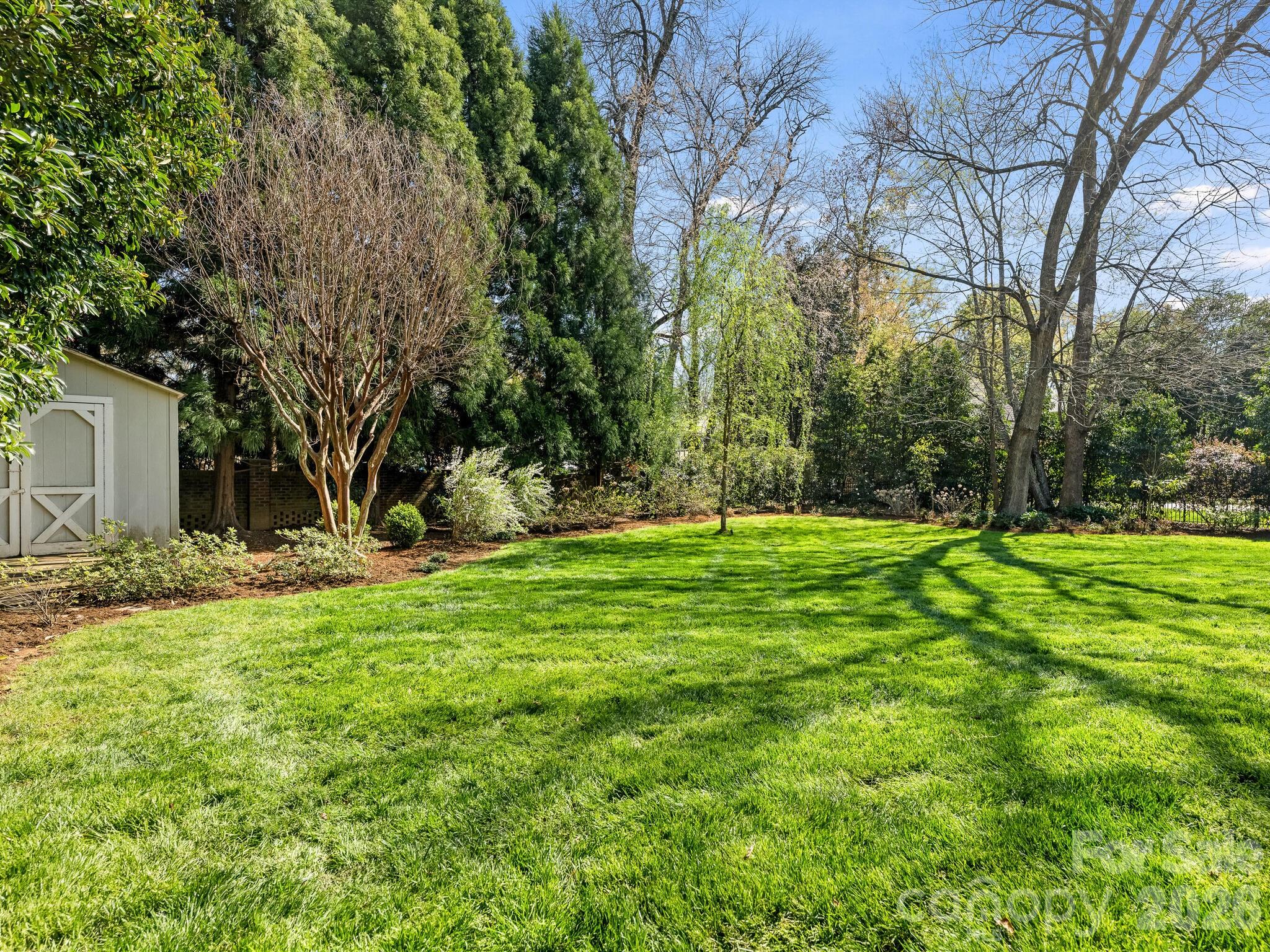1413 Andover Road Charlotte, NC 28211 - Photo 37 of 41 a view of a backyard with large trees