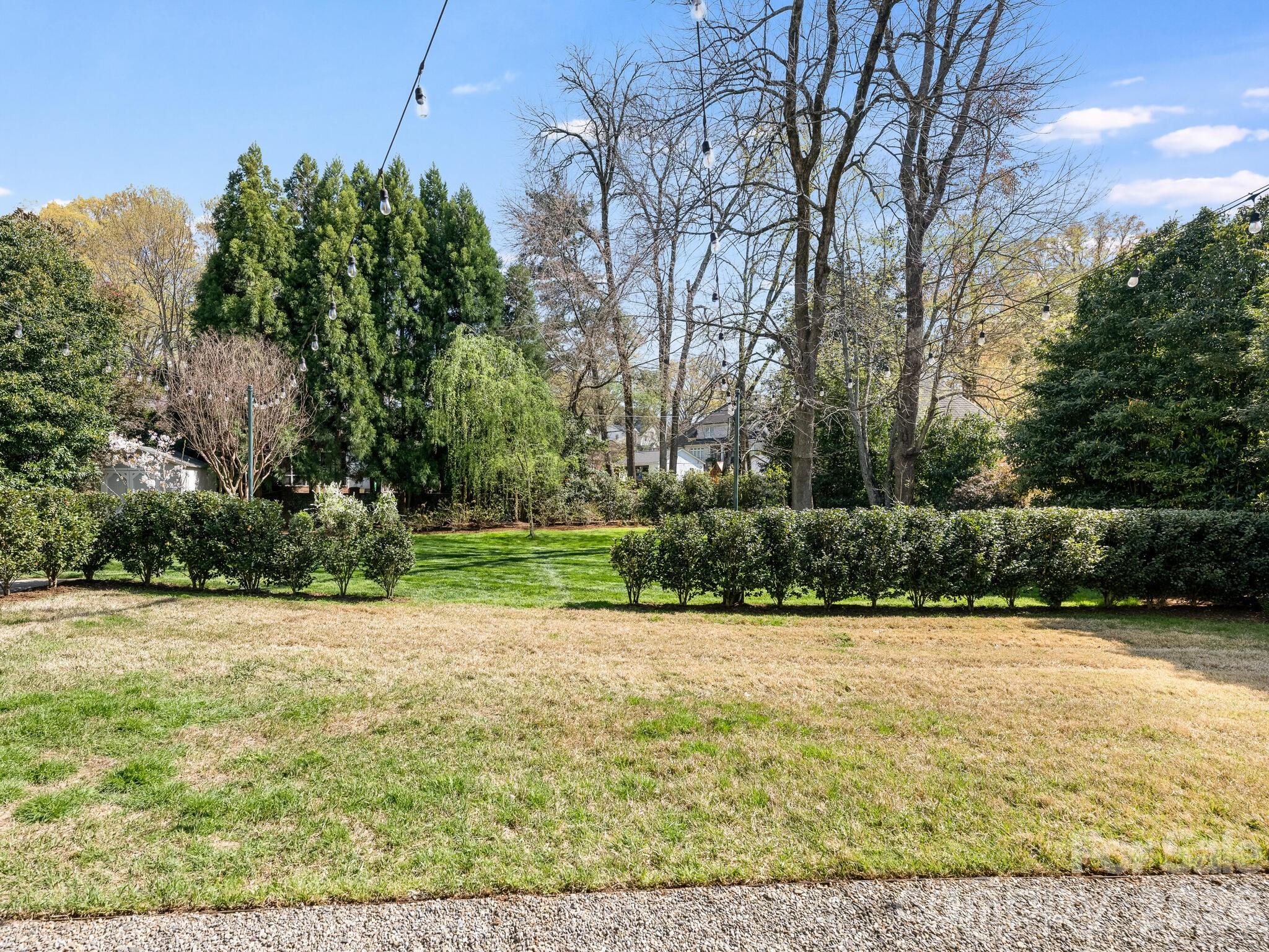 1413 Andover Road Charlotte, NC 28211 - Photo 38 of 41 a view of a garden with a bench