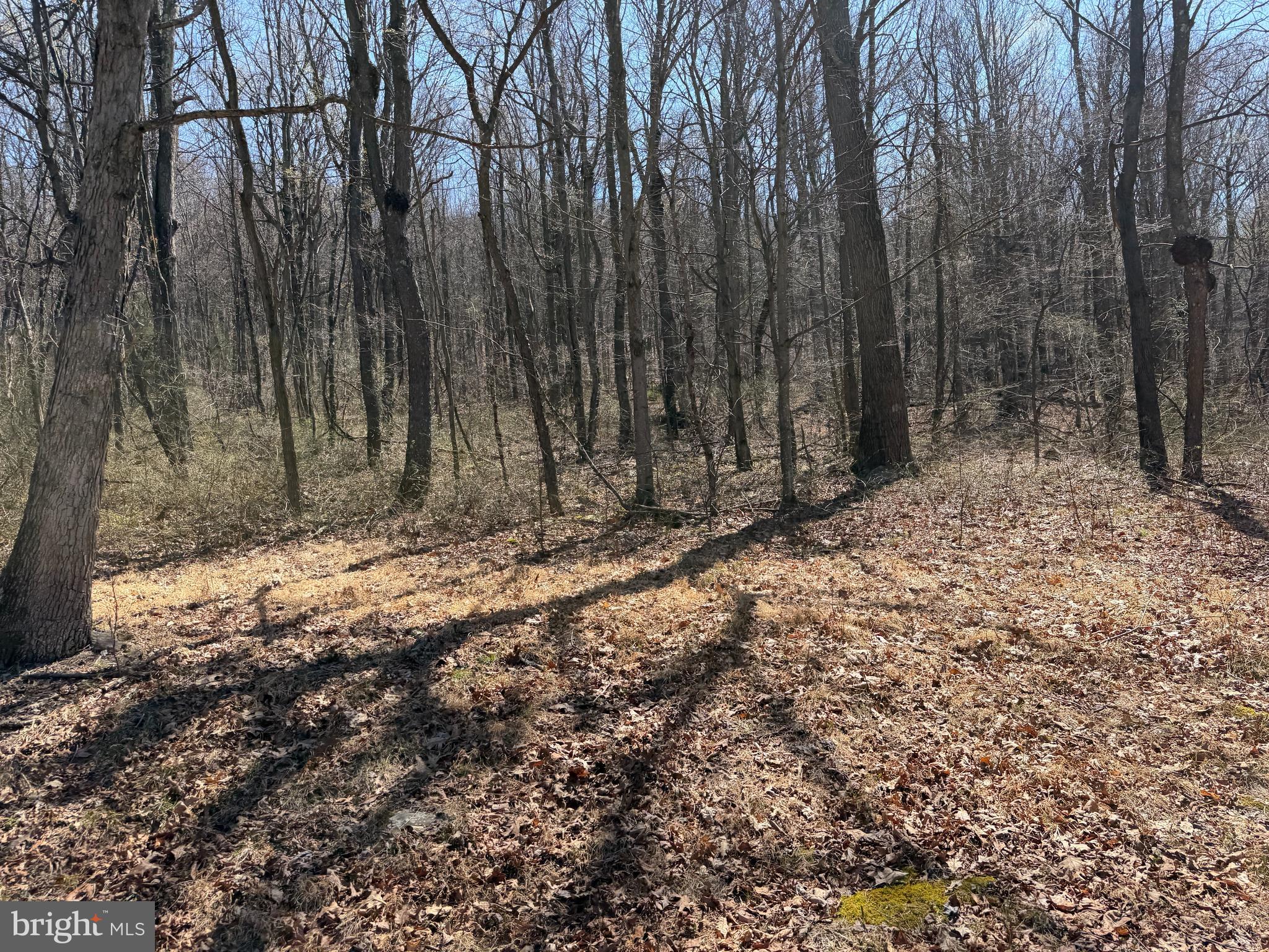2 40 /- Acres Off Of Tooland Road Fairhope, PA 15538 - Photo 11 of 49