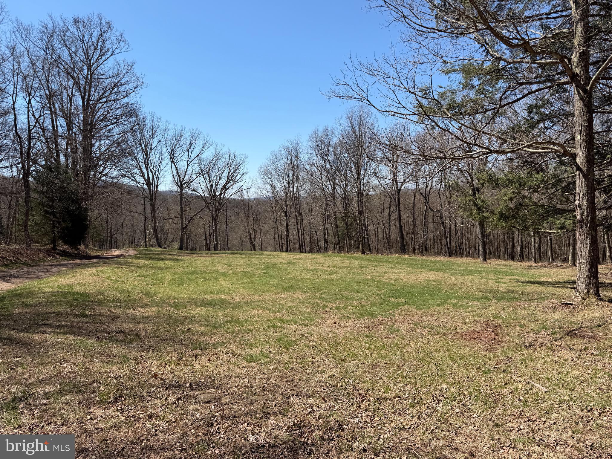 2 40 /- Acres Off Of Tooland Road Fairhope, PA 15538 - Photo 14 of 49