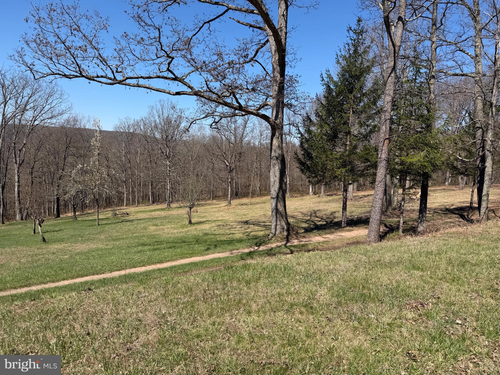 2 40 /- Acres Off Of Tooland Road Fairhope, PA 15538 - Photo 17 of 49