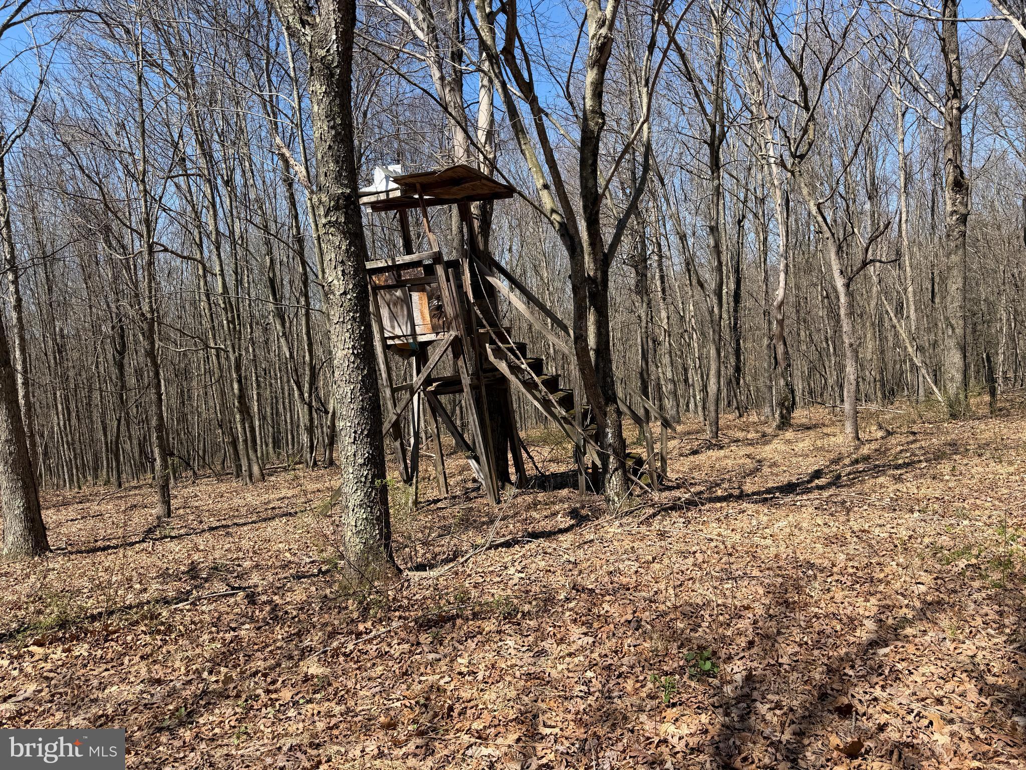 2 40 /- Acres Off Of Tooland Road Fairhope, PA 15538 - Photo 42 of 49