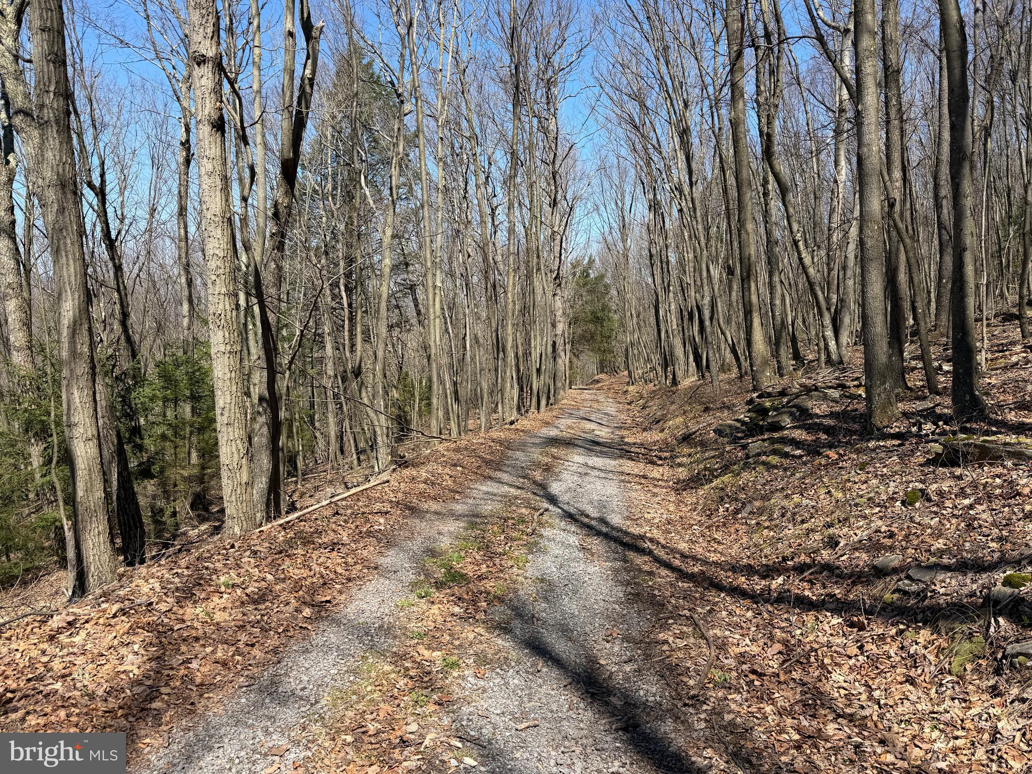 2 40 /- Acres Off Of Tooland Road Fairhope, PA 15538 - Photo 43 of 49