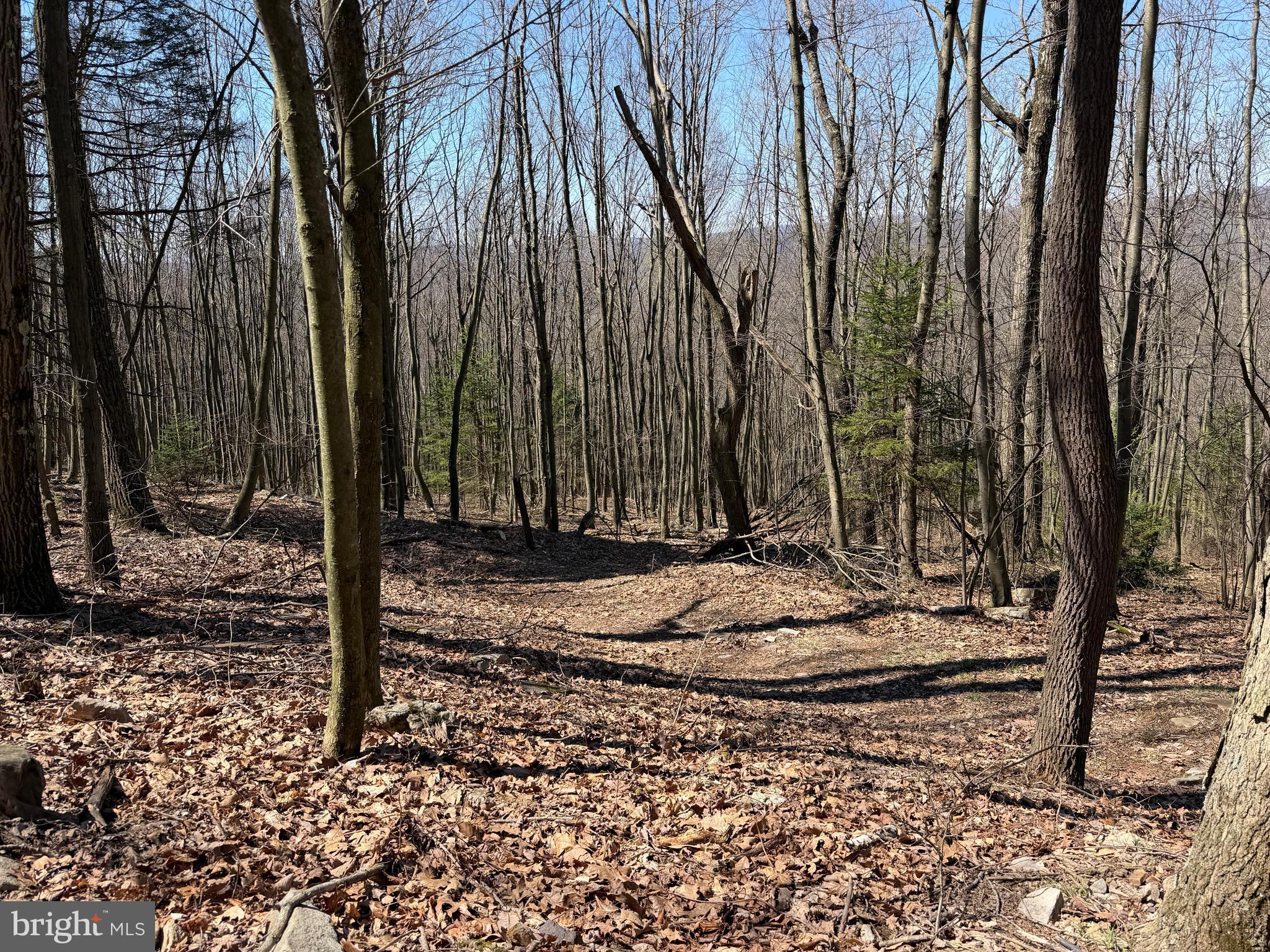 2 40 /- Acres Off Of Tooland Road Fairhope, PA 15538 - Photo 45 of 49