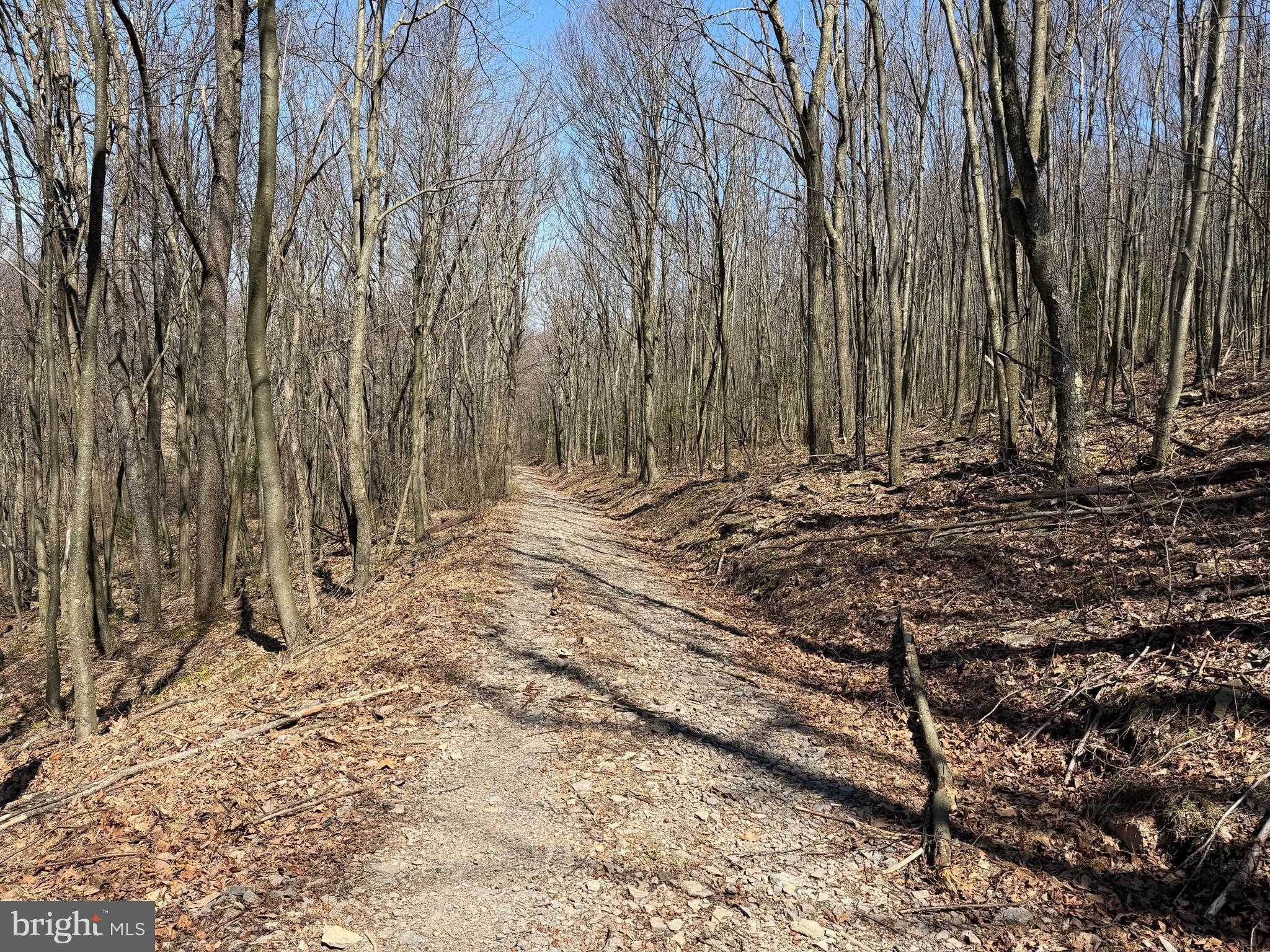 2 40 /- Acres Off Of Tooland Road Fairhope, PA 15538 - Photo 48 of 49